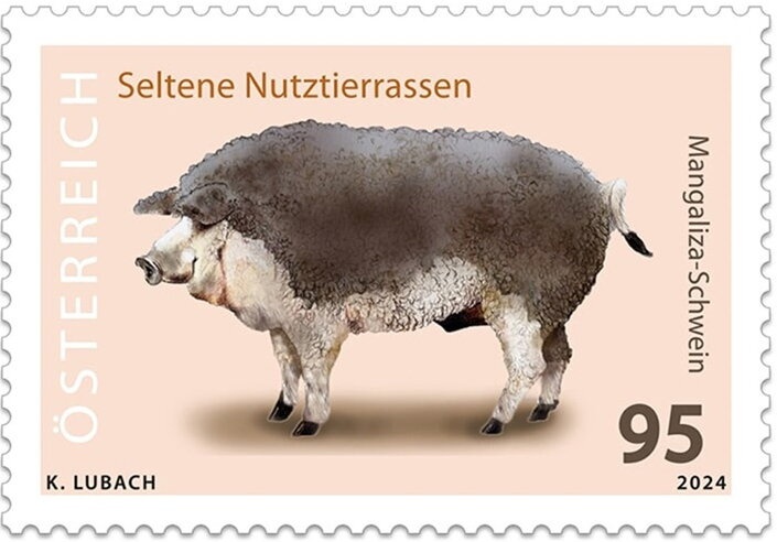 "Portrait of a Lady" by Bernardino Zaganelli (1500?)