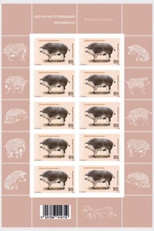 Coat of arms & digit