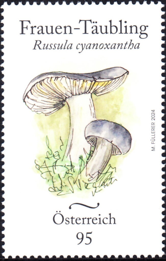 Historic core of Ljubljana