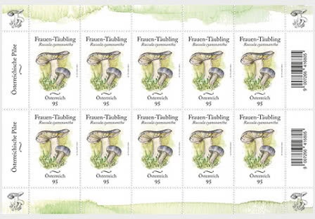 300th Anniversary of the Upper Belvedere