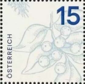 "Head" by Franz Ringel