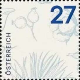 Digit in square frame