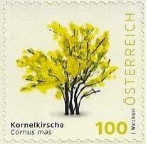 Imperial coat of arms & digit