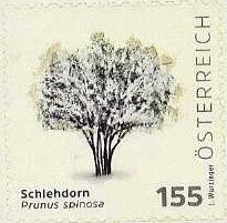 "Spring", painting by Koloman Moser (1868-1918)