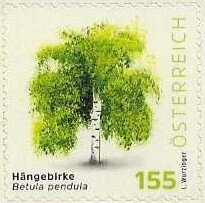 Church of Ranui (Vilnöss valley, South Tyrol)