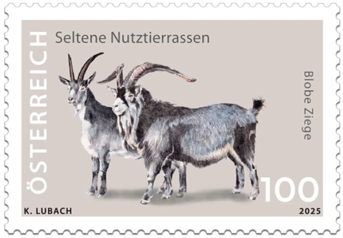 Crypto stamp 2025: Safe Dragon