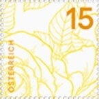 Mountain rescue, centenary