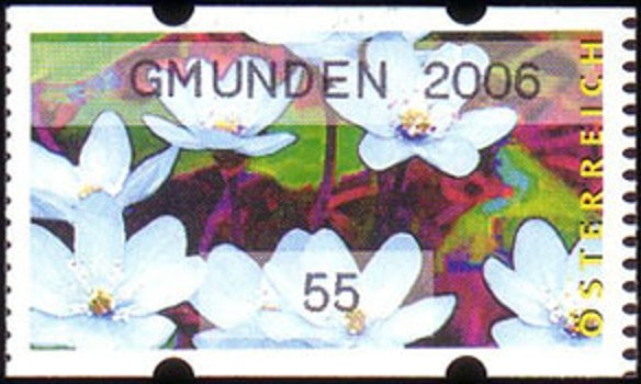 Memorial Stone and Martin's Church, Linz