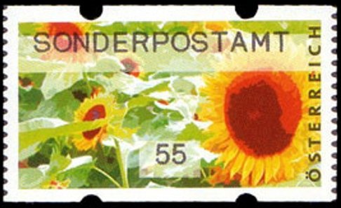 Giant Ice Caves Werfen