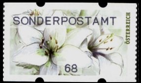 Bertha von Suttner (1843-1914)