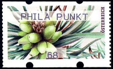 The Strudengau Water Nymph