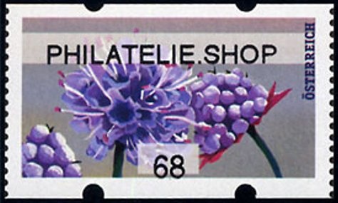 Angelika Kauffmann (1741-1807) - Self Portrait