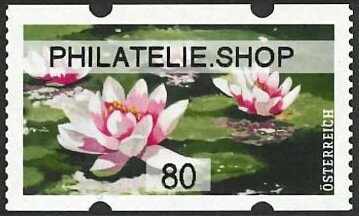 Hedgehog and European Hare