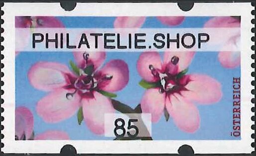 Arndorfer Altar Maria Saal