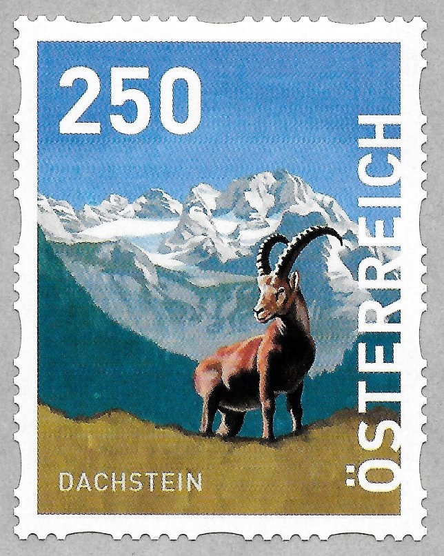 Eurasian Hoopoe (Upupa epops), Broad-bordered Bee Hawkmoth