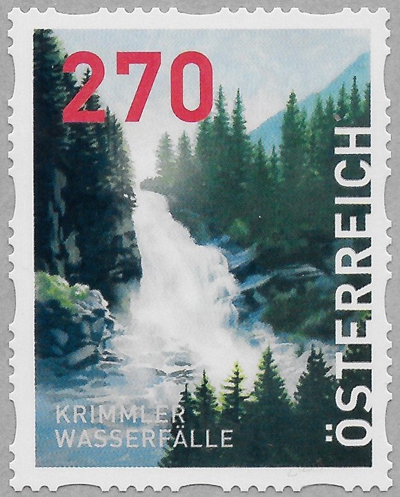 Parasol Mushroom (Macrolepiota procera)