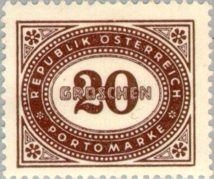 Camellia (Camellia japonica)