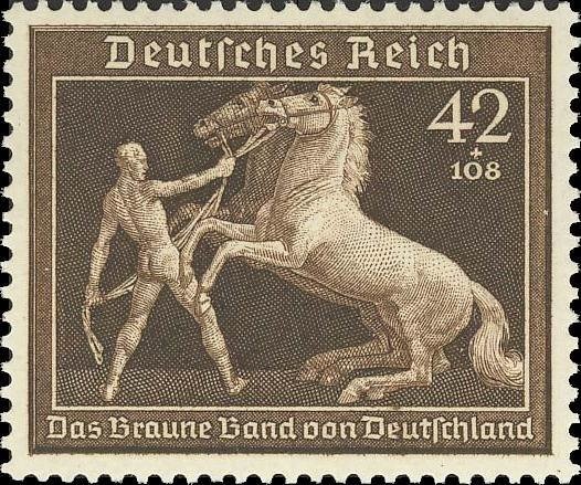 Scots pine (Pinus sylvestris)