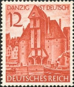 Field maple (Acer campestre)