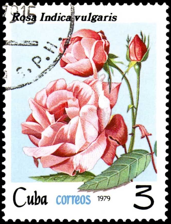 Lighthouse "Alternate Weser"