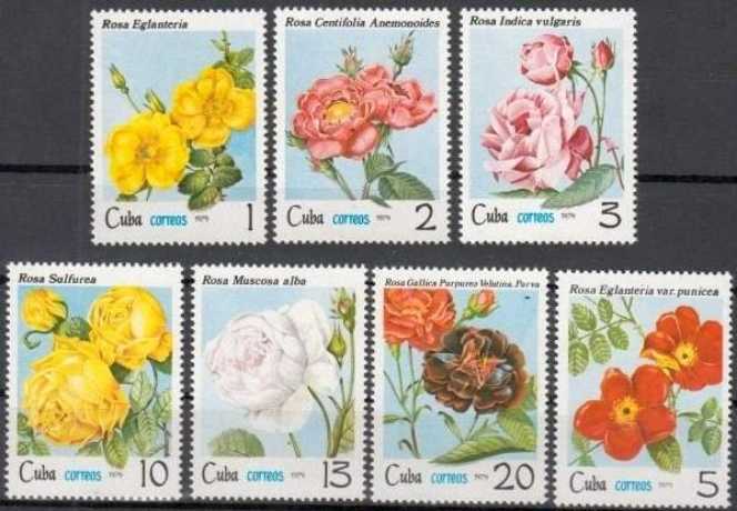 Cuba: 1979 3 Rosa Indica Vulgaris  stamp collectible - Main Image 2