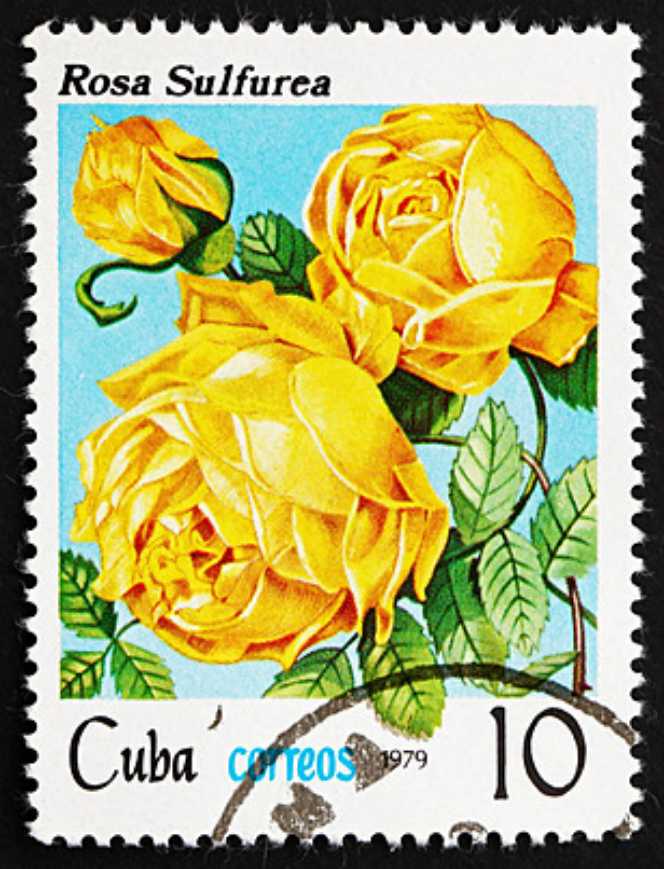 E.t. The Extra Terrestrial Fdc Pnc With Unc Coloured $1 Coin. Limited To