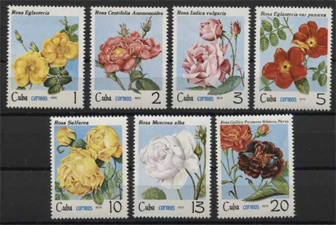 Cuba: 1979 5 Rosa Eglanteria Var.Punicea  stamp collectible - Main Image 2