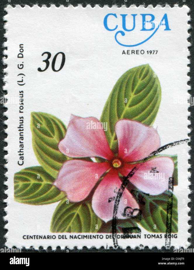 4th Centenary Of The Amazon River Discovery 