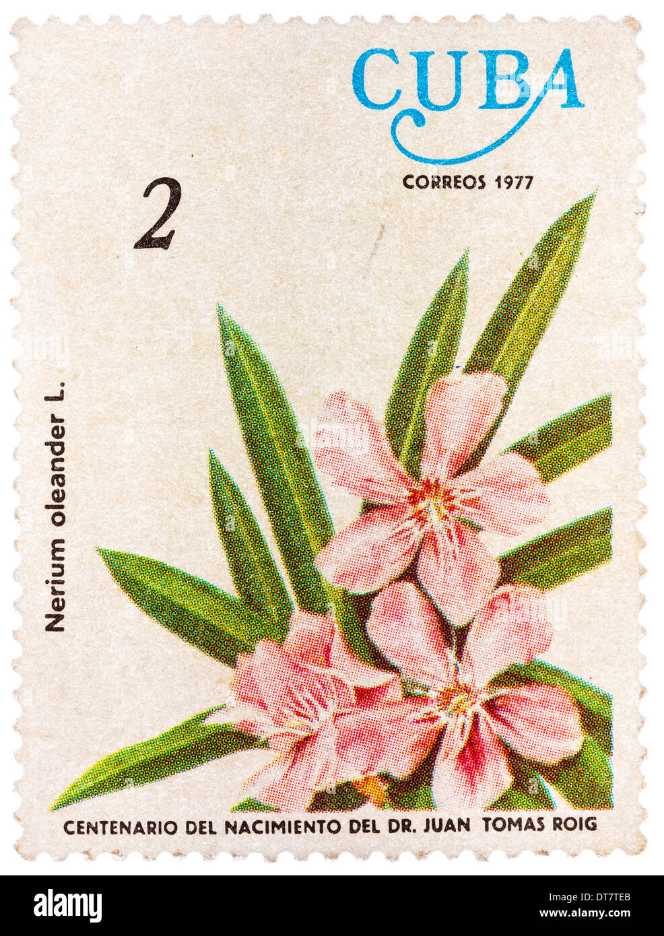 Czechoslovakia: 1979 60h