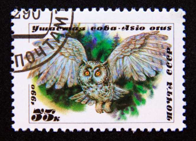 Nfl Super Bowl Xlii Patriots Giants Match Photo Cover 16x12 Sealed New