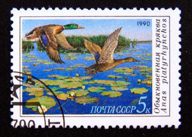 Harbottle Brewing - Tucson