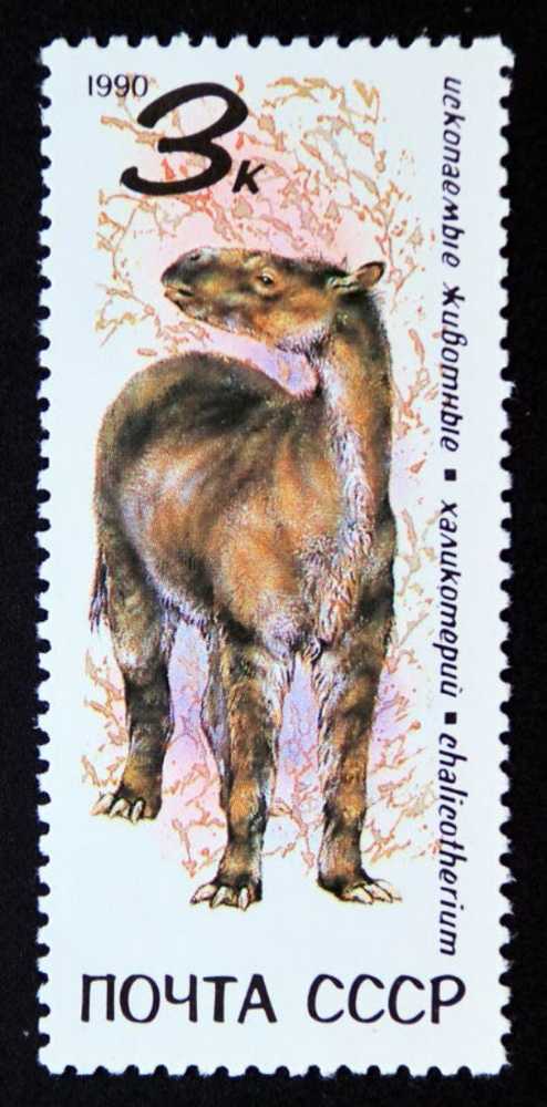 1988 Olympic Seoul Summer