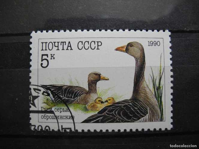 1324. 300-летие Полтавской битвы