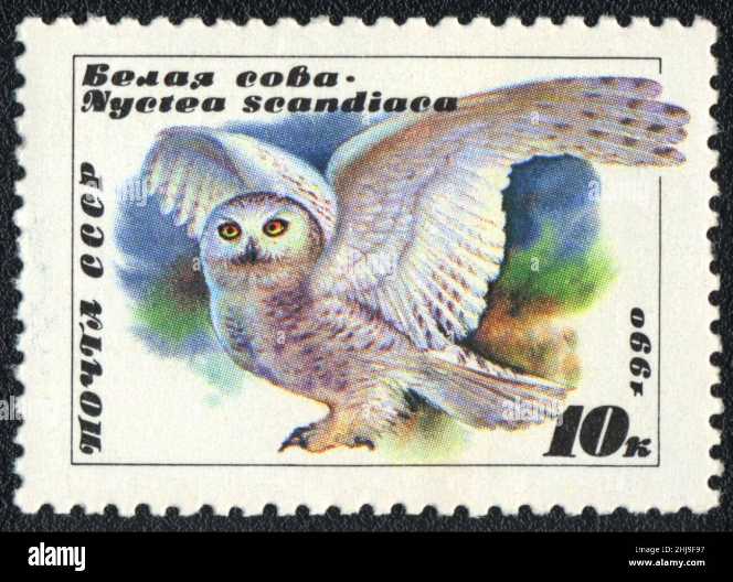 50 jarig regeringsjubileum Koningin Wilhelmina. Gezamelijke uitgave met Curaçao en Suriname