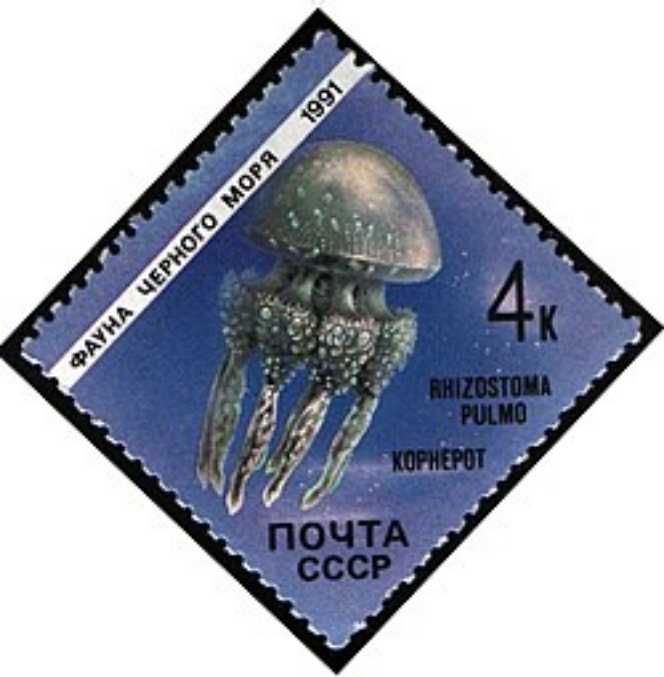 Koningin Wilhelmina (hangend haar)