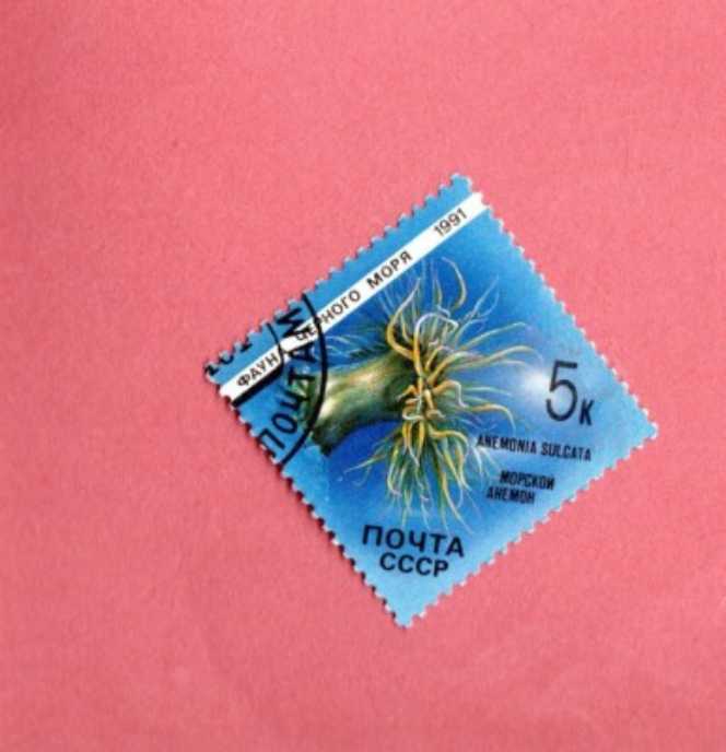 Go Beyond (Buzz Lightyear)