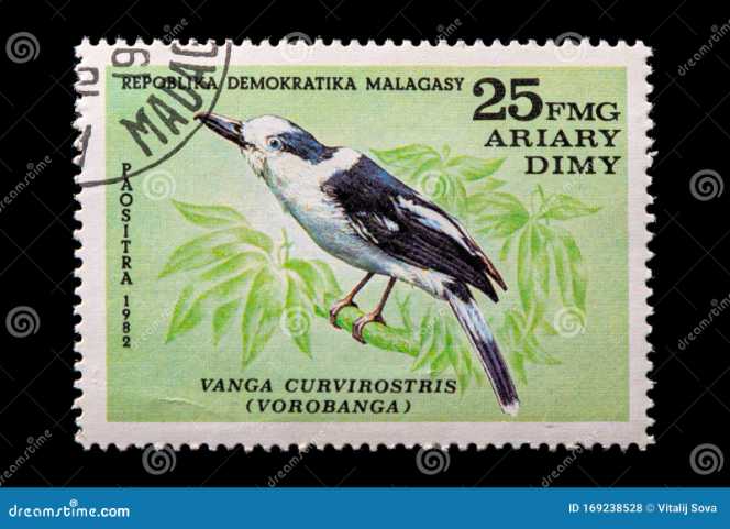 50 jaar Nederlandse staatsmijnen