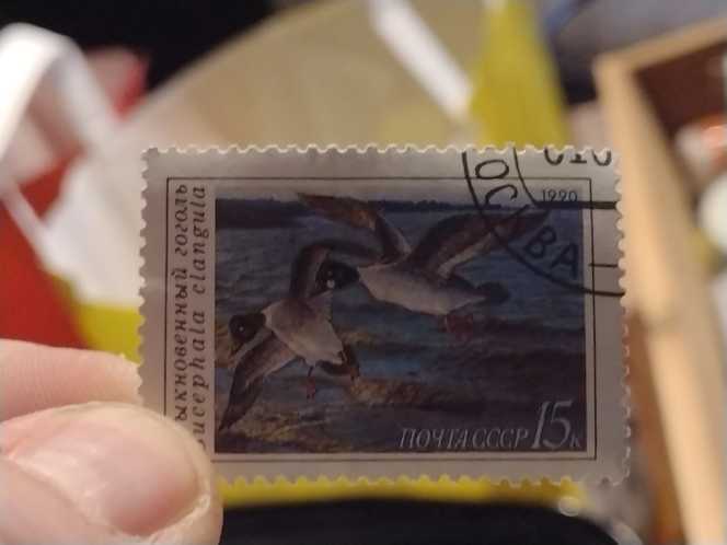 Netherlands: 1957 Europazegels