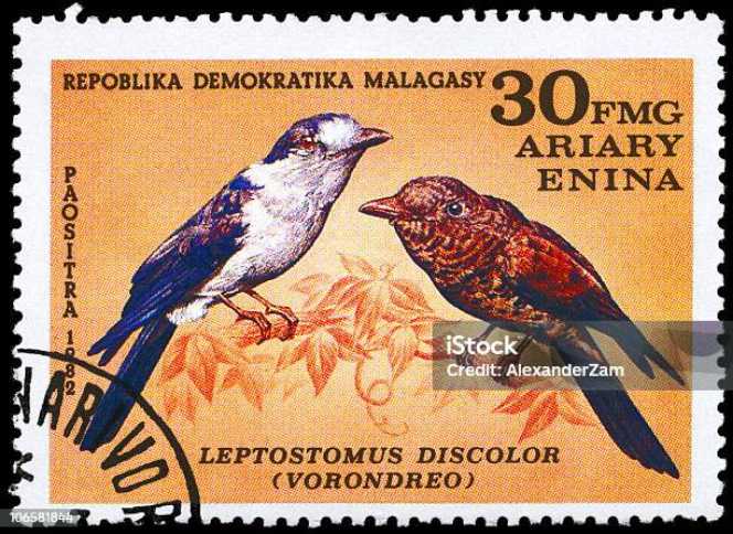 Littleton Brewing - Littleton