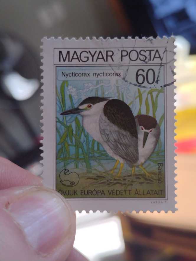 25 jarig regeringsjubileum koningin Wilhelmina