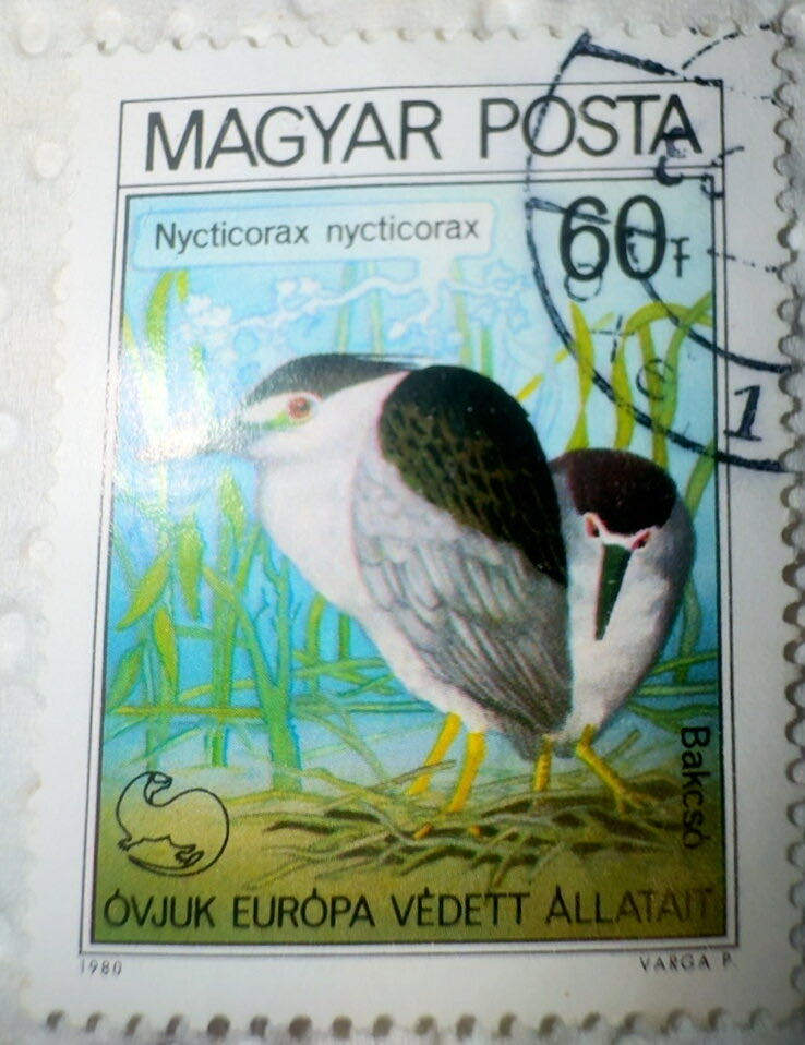 Magyar: 1981 60ft Bird  stamp collectible - Main Image 2