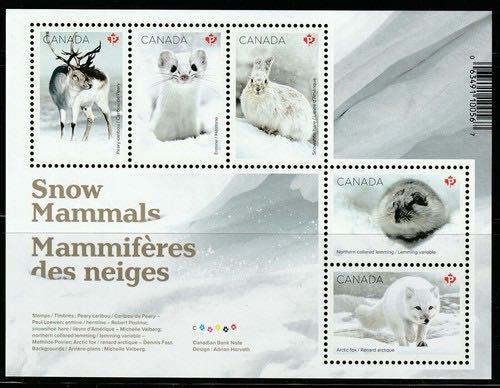 70th Anniversary Of Diplomatic Relations With Pakistan