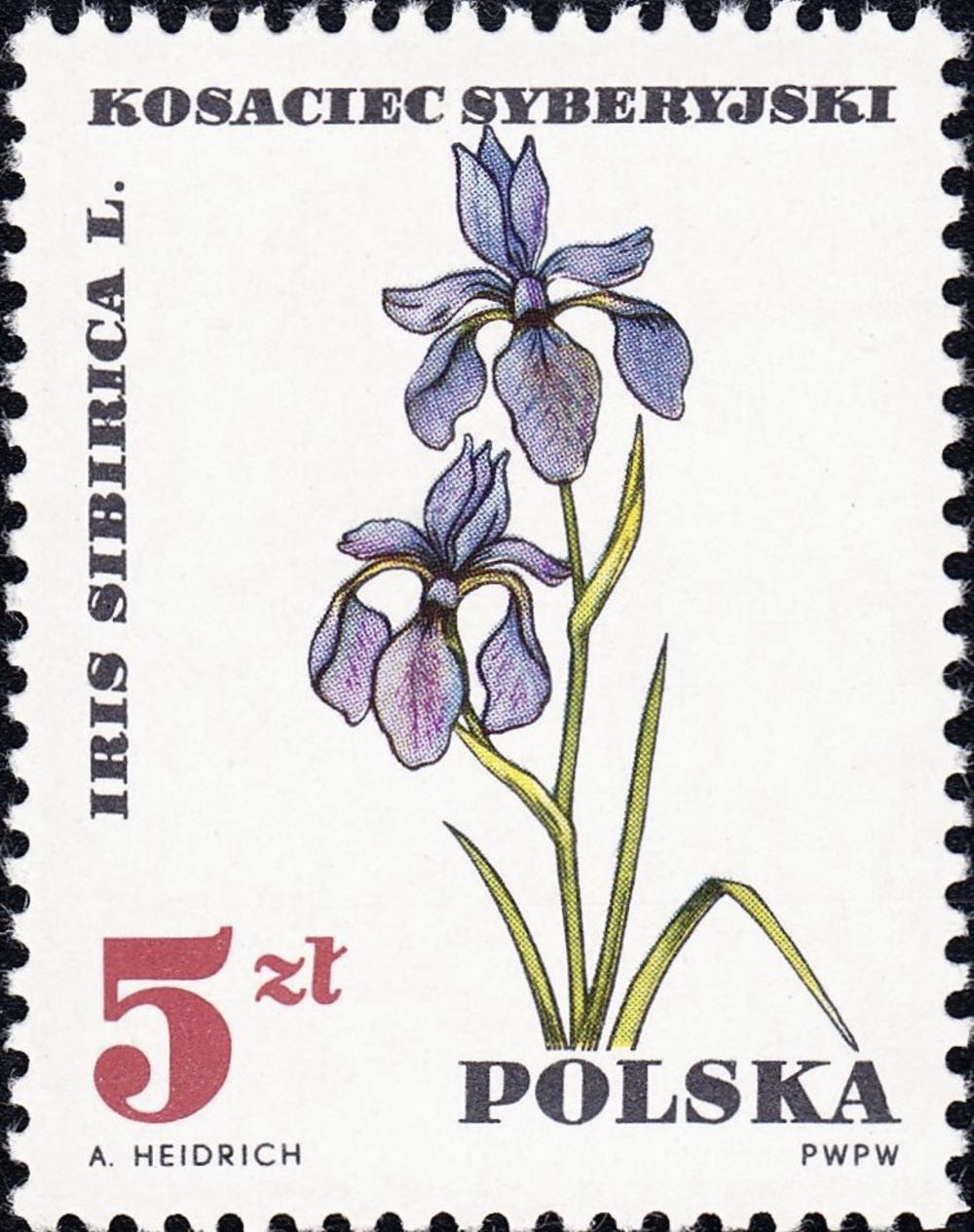 678. Вода — природное богатство. Озеро Байкал