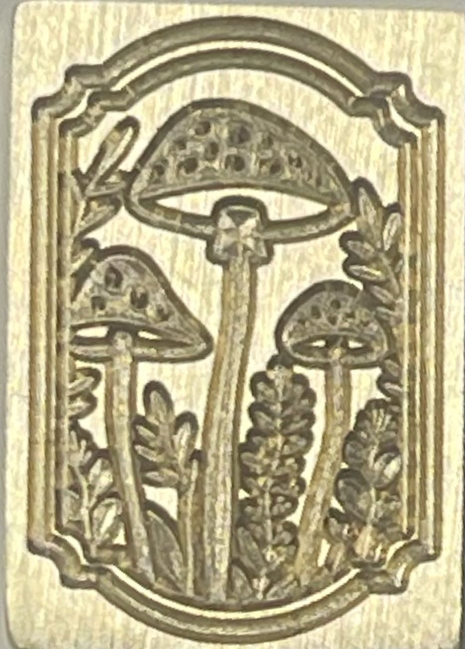 1556-1557. Серия «Фауна России. Киты»