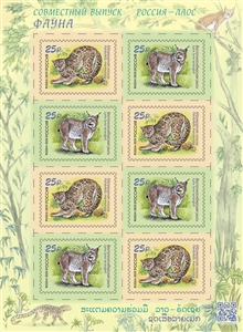 Modern Small-wheel Bicycles