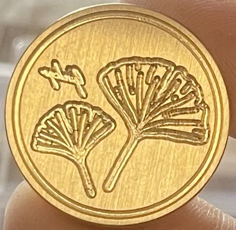 Gal Region: Oystercatcher (Haematopus ostrolegus)