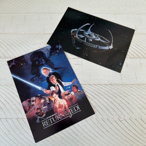 Gulripsh Region: Pintail (Anas acuta)