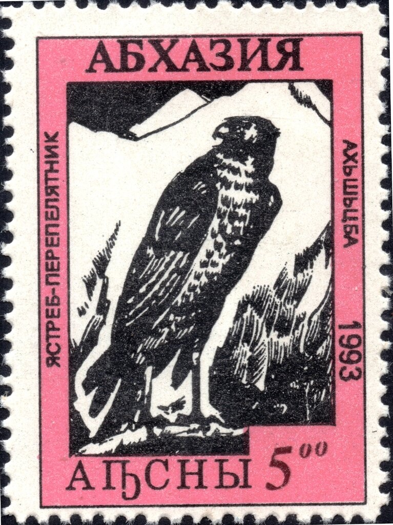 Portrait of the Football Player Vitaly Daraselia (1957-1982)