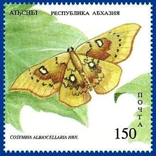 Portrait of politician G.A. Dzidzariya (1914-1988)