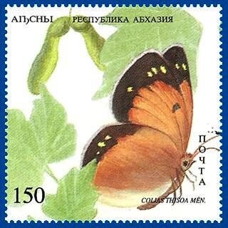 Glanville Fritillary (Melitaea cinxia)